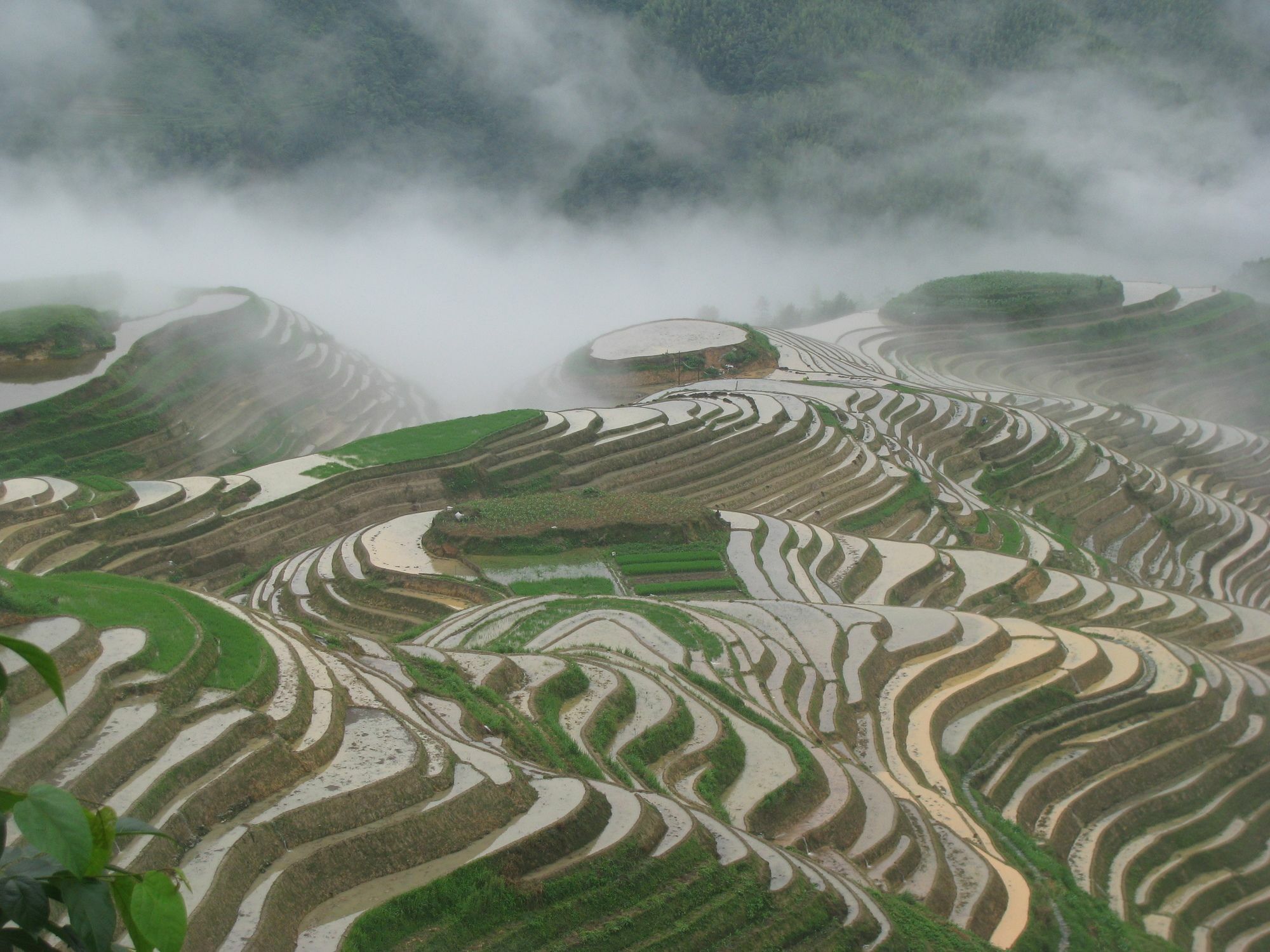 Yangshuo Mountain Nest Boutique Hotel Dış mekan fotoğraf